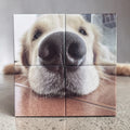 Photo Magnet Puzzle